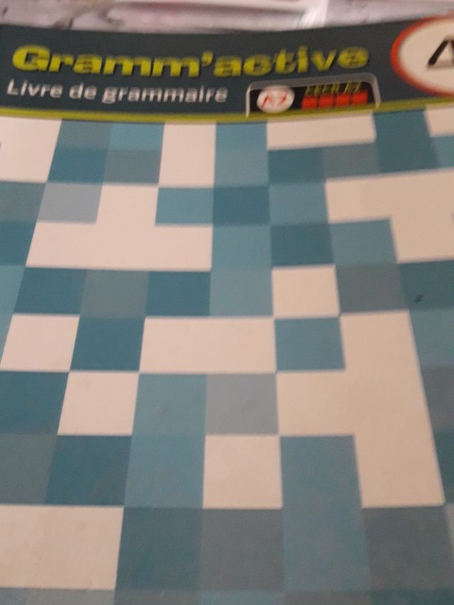 4 ESO livre de grammaire