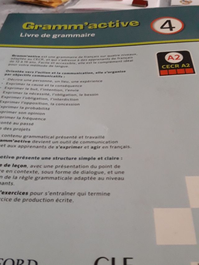 4 ESO livre de grammaire