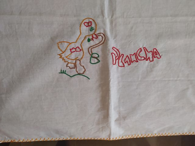 Trapos para la  plancha