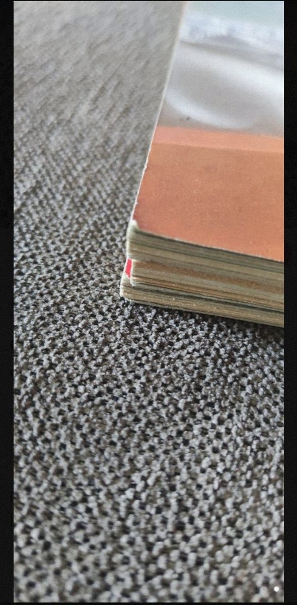 Cómic 1984 (Almanaque 1981 y 1983)