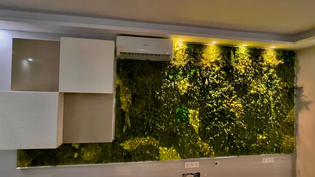 Jardin vertical preservado 