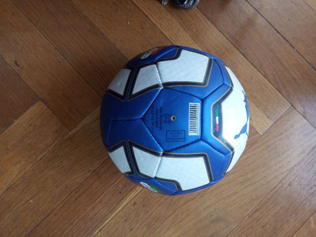 Pelota balon