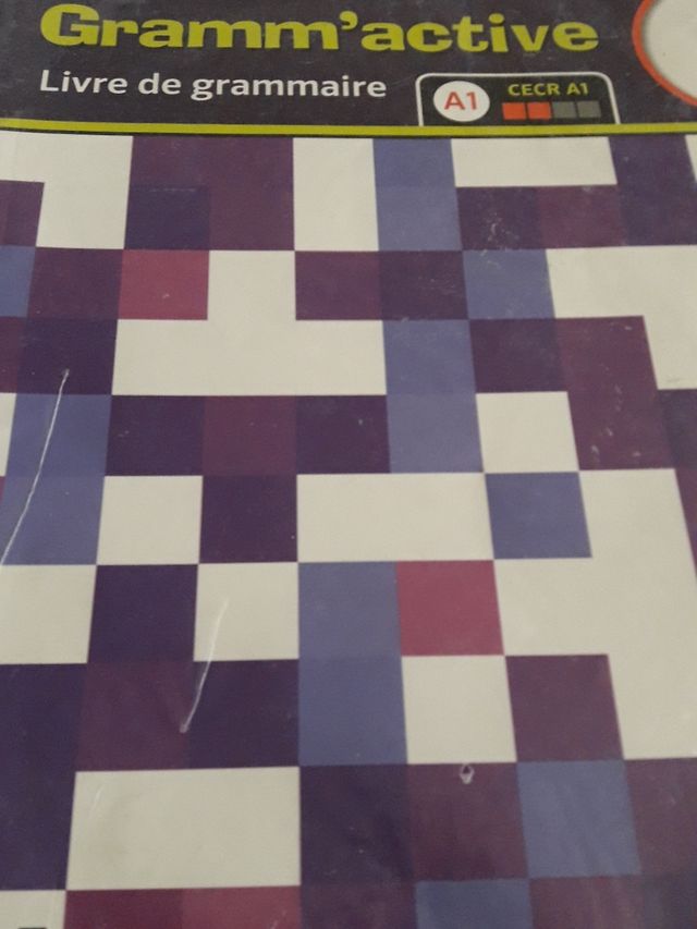 LIVRE DE GRAMMAIRE 1 ESO