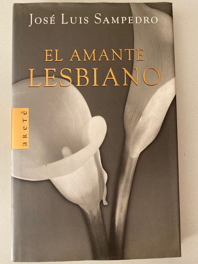 10 títulos de novelas en castellano