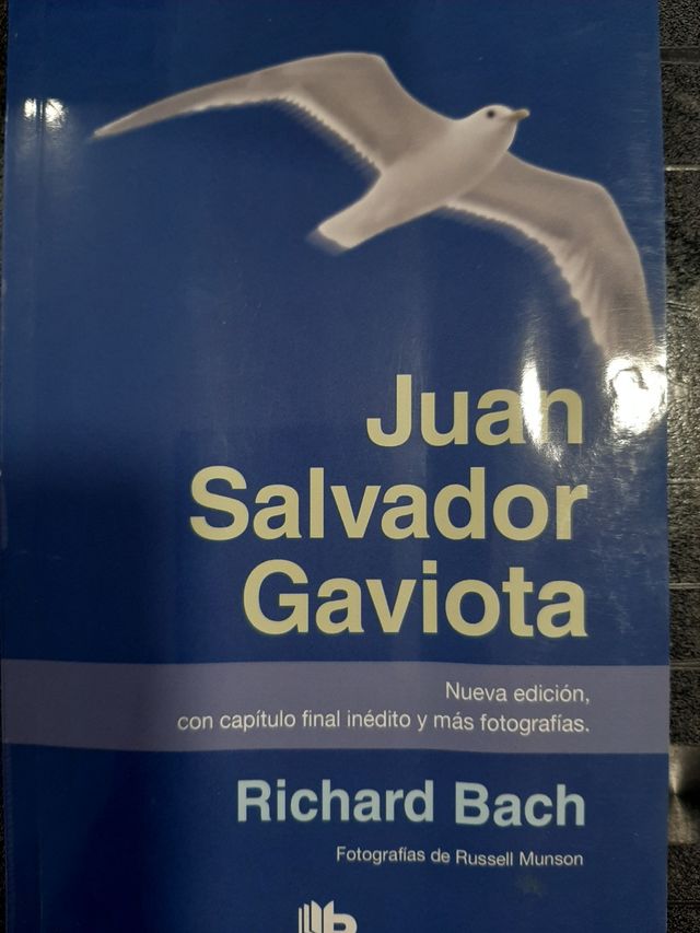 Juan Salvador Gaviota Libro lectura