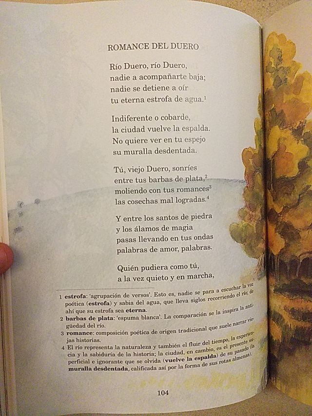 Libro La rosa de los vientos.