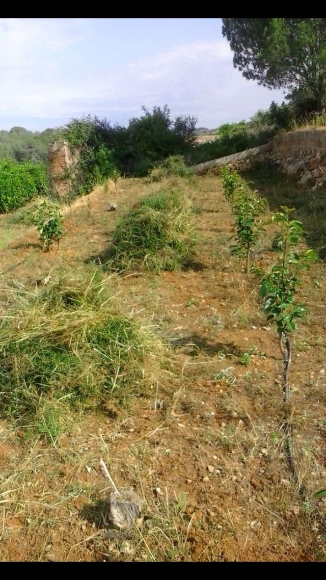 trabajos de desbrozadora