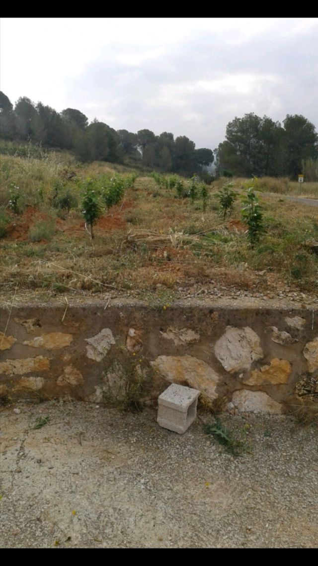 trabajos de desbrozadora