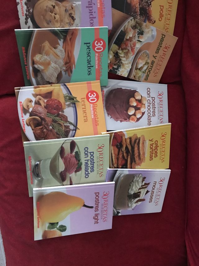 Colección libros - 480 recetas de cocina