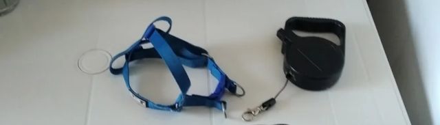 Correa extensible y arneses