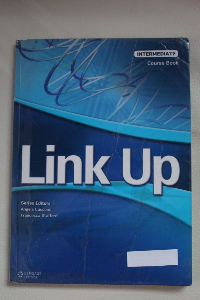 Link Up Intermediate-Course Book, Cengage Learning