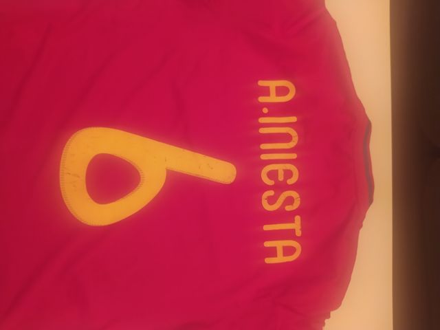 Camiseta Mundial 2010 Iniesta