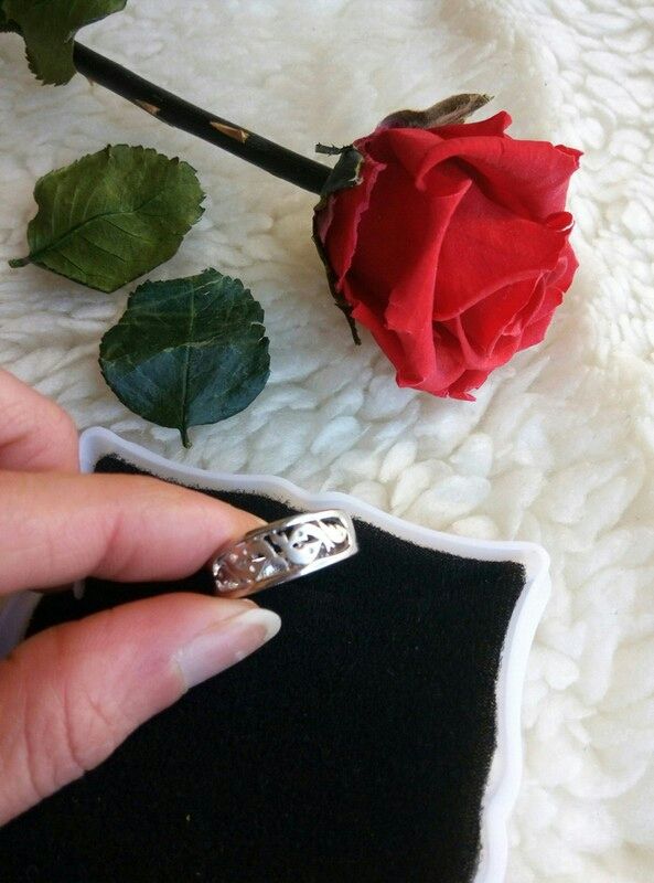 Anillo plata delfines