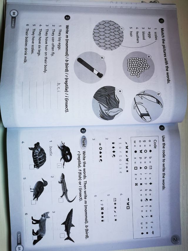 Super Minds Workbook 2