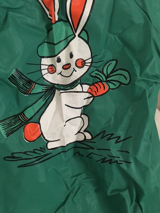 Chubasquero infantil