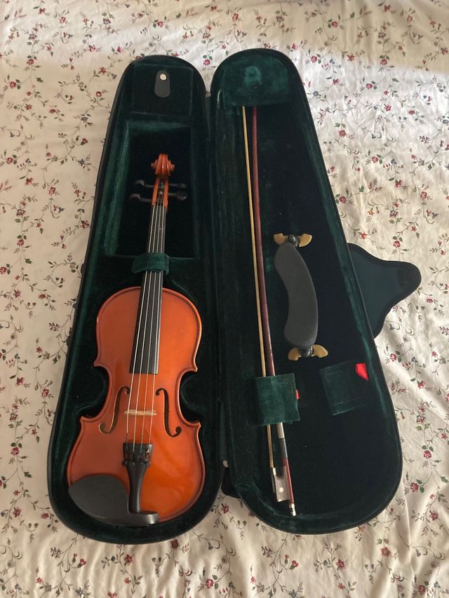 Viola 1/2 pequeños principiantes 