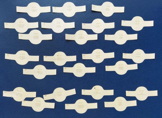 Serie Completa Lote  Vorstenhuis Palacios Reales