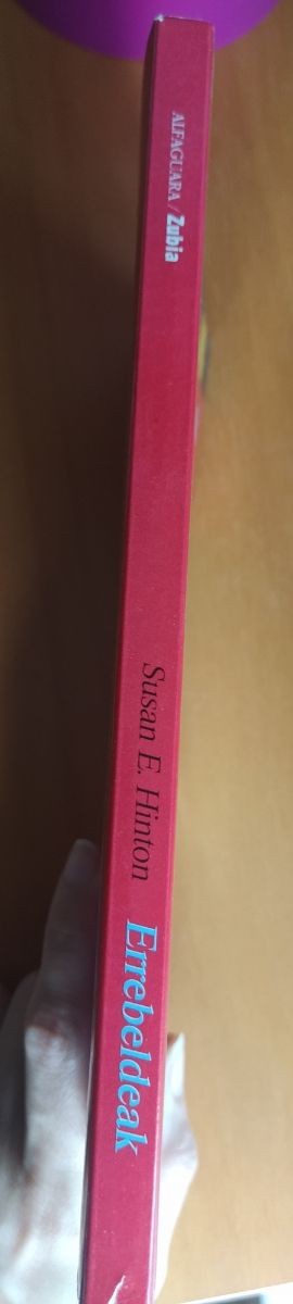 Libro: "Errebeldeak" de Susan E Hinton