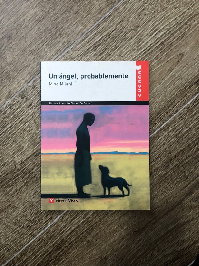 Un ángel, probablemente 