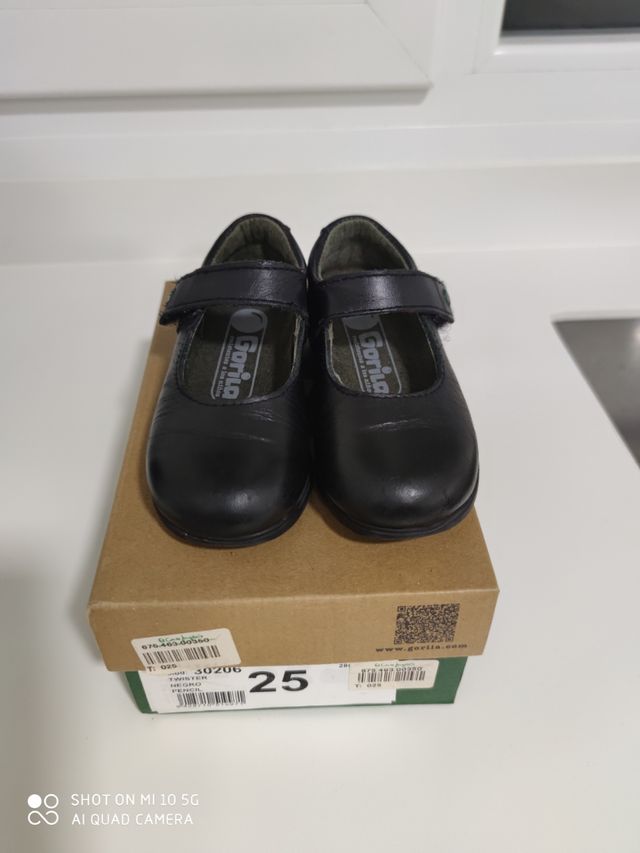 zapatos colegiales N 25