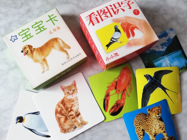 FICHAS PARA NIÑOS CHINO/INGLÉS /IMAGEN