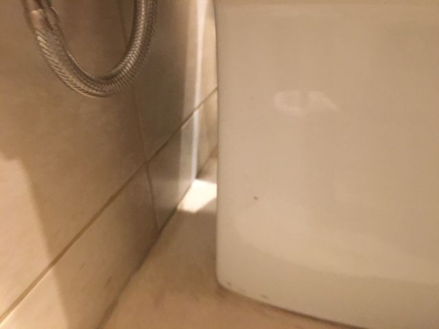 Inodoro Roca Dama Senso