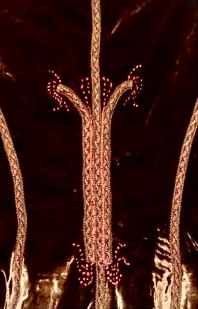 Chaqueta Terciopelo. Bordada.ZARA