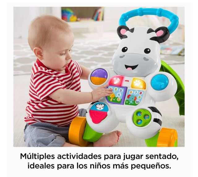 Andador primeros pasos