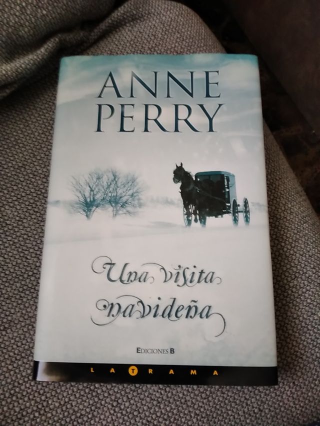 Una Visita navideña