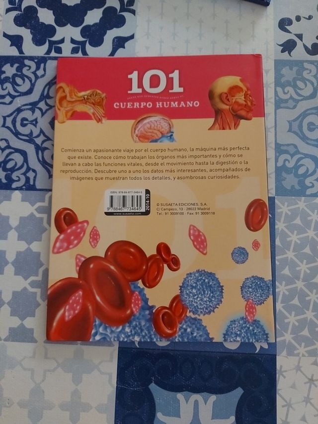 cuerpo humano