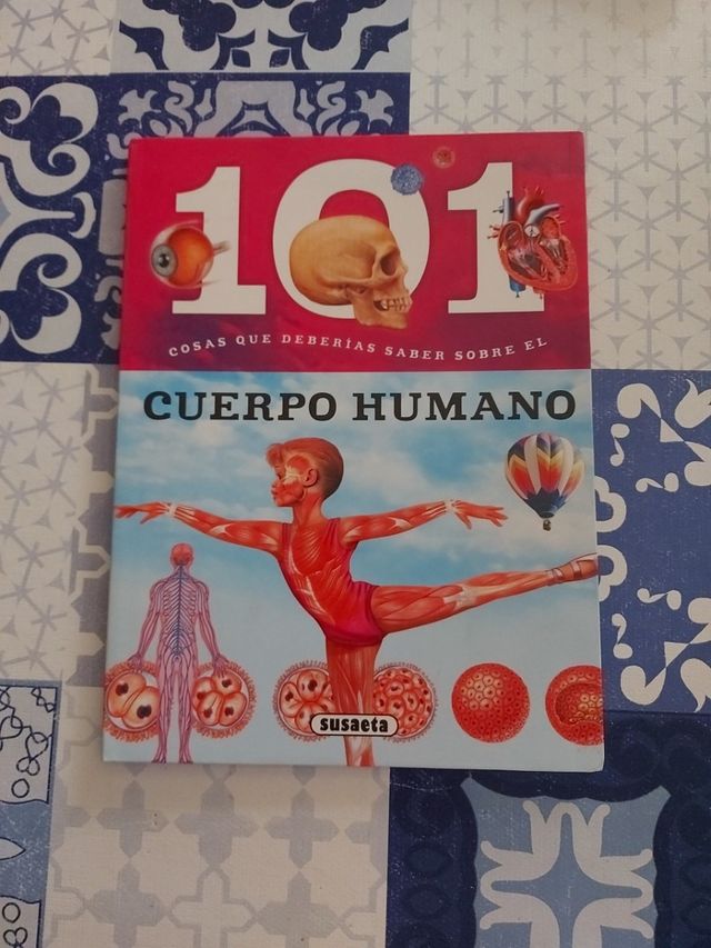 cuerpo humano