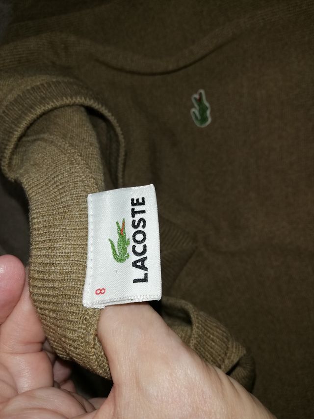 Jersey Lacoste original