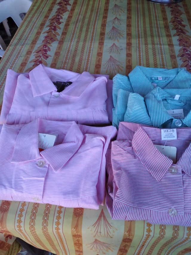 Nuevos, babis colegial.