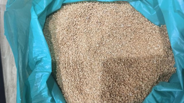 Terrarios. Venta de dos terrarios con regalo.