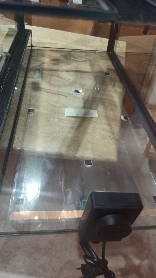 Terrarios. Venta de dos terrarios con regalo.