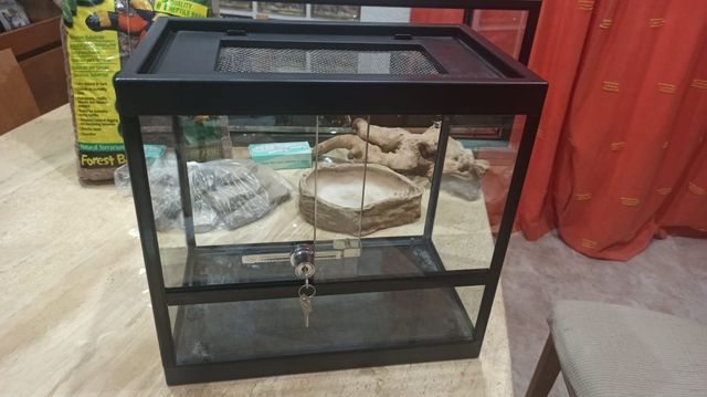 Terrarios. Venta de dos terrarios con regalo.