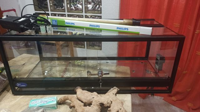 Terrarios. Venta de dos terrarios con regalo.