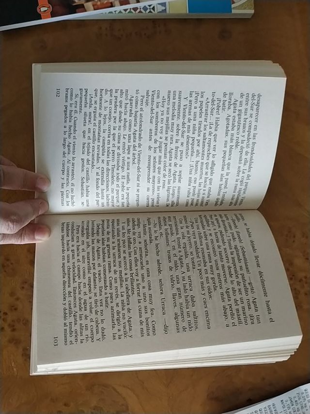 Los alegres Viajeros de M.Lerme-Walter