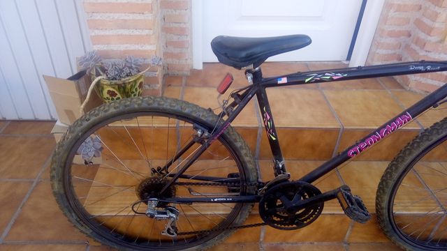 Bicicleta