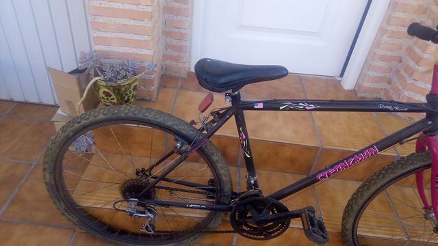 Bicicleta