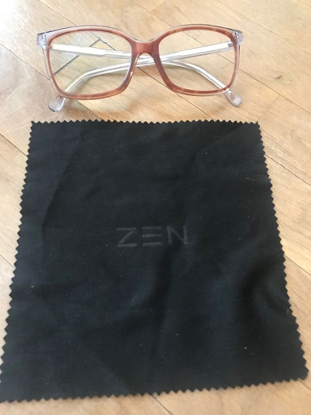 Gafas ZEN z492