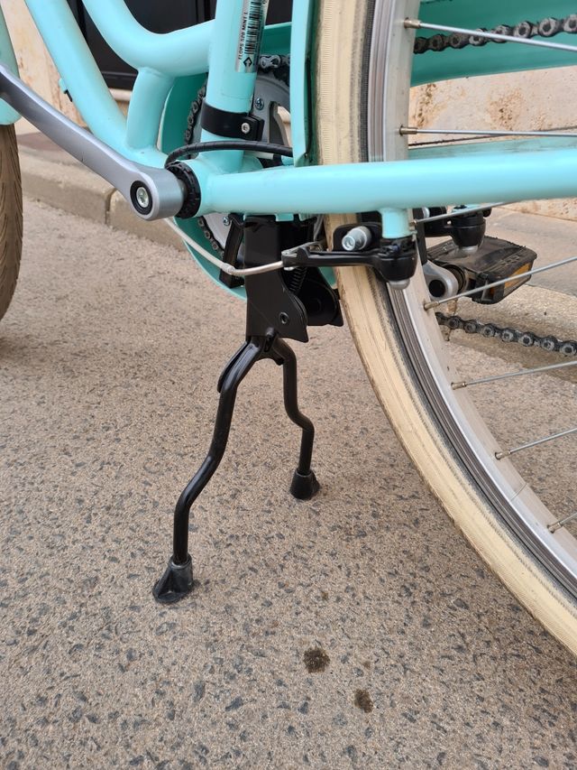 bicicleta paseo 2 niños