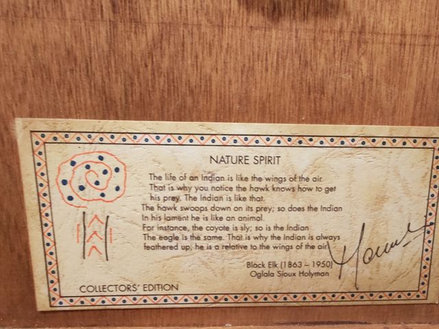 Cuadro Águila relieve