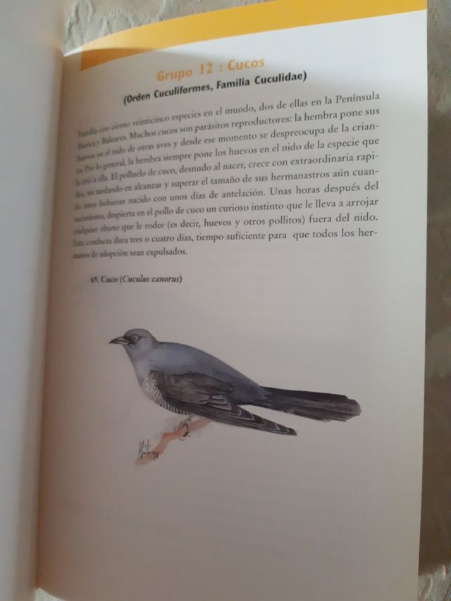 Guía práctica de aves del Parque Natural de las la