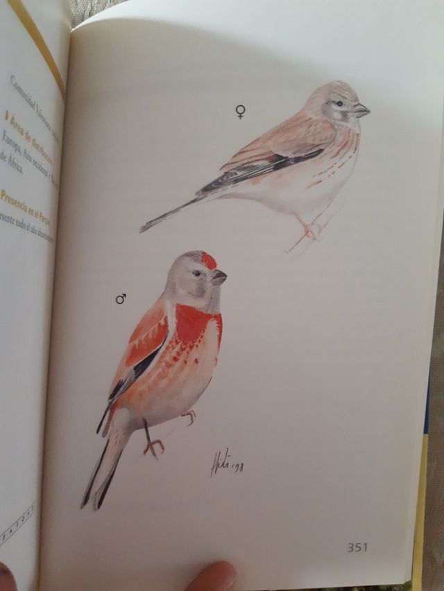 Guía práctica de aves del Parque Natural de las la