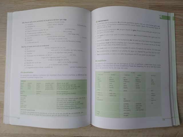 Diccionario y libro de Valenciano