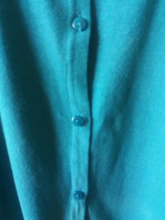 Chaqueta verdeazulada