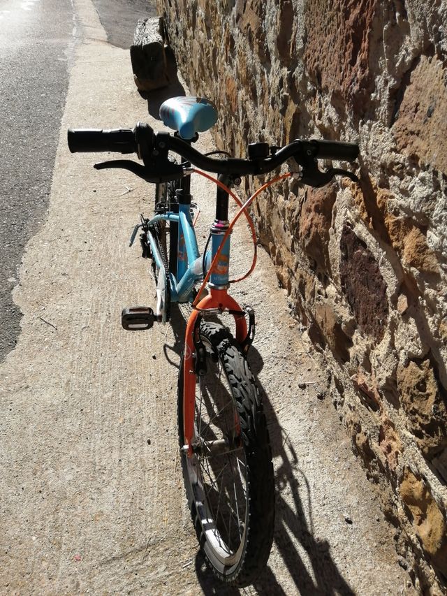 Bicicleta niño, niña