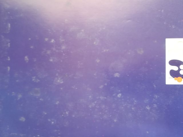 Lote El Camino de Santiago y Voces en Compostela