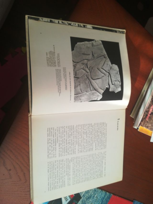 El Mundo de los Egipcios de Jacques Champollion